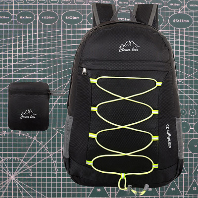 VbusiF6 Foldable Backpack