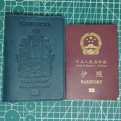 VbusiL19 Nature Leather Simple Passport Holder